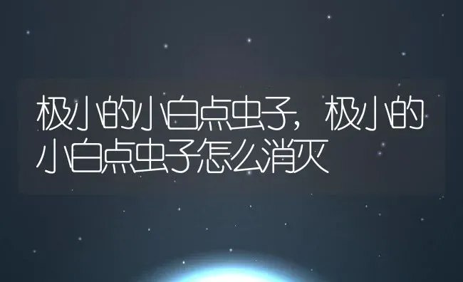 极小的小白点虫子,极小的小白点虫子怎么消灭 | 宠物百科知识