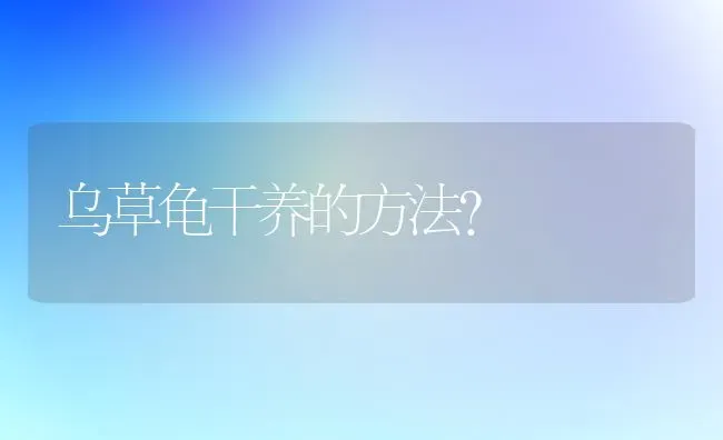 乌草龟干养的方法？ | 动物养殖问答