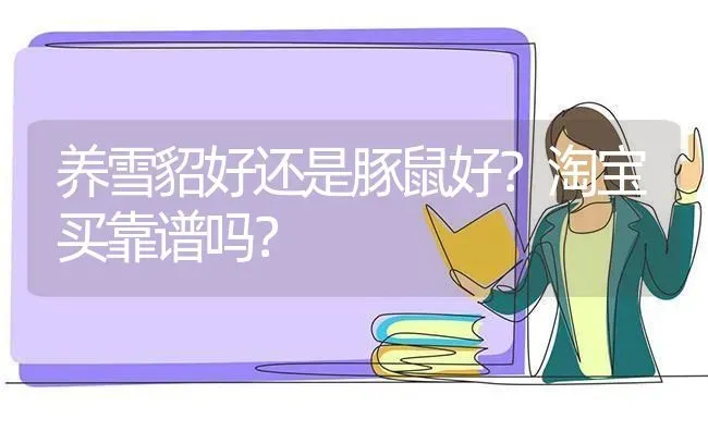 养雪貂好还是豚鼠好？淘宝买靠谱吗？ | 动物养殖问答