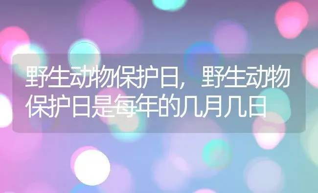 野生动物保护日,野生动物保护日是每年的几月几日 | 宠物百科知识