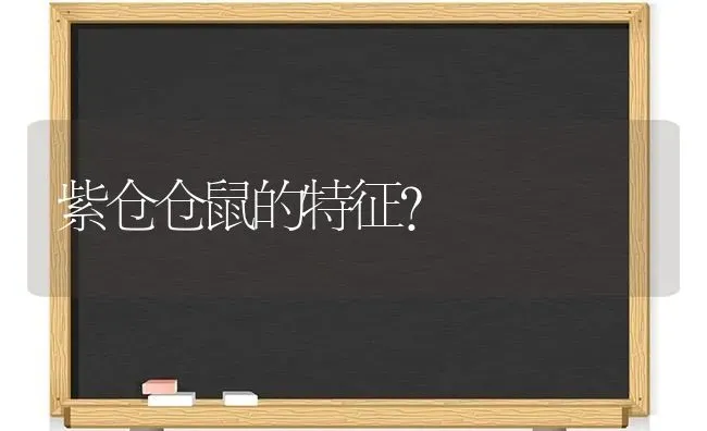 把狗狗扔掉会遭什么因果？ | 动物养殖问答