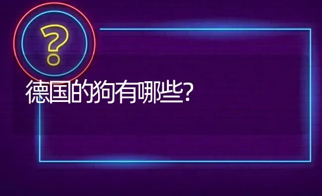 德国的狗有哪些？ | 动物养殖问答