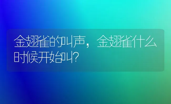 金翅雀的叫声，金翅雀什么时候开始叫？ | 动物养殖问答