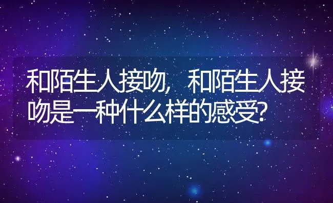 和陌生人接吻,和陌生人接吻是一种什么样的感受? | 宠物百科知识