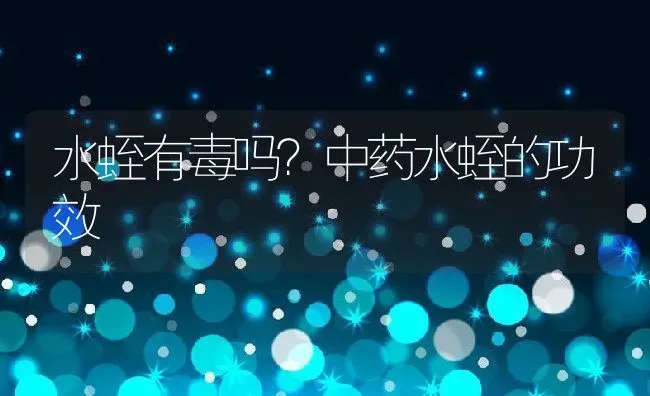 水蛭有毒吗？中药水蛭的功效 | 动物养殖百科