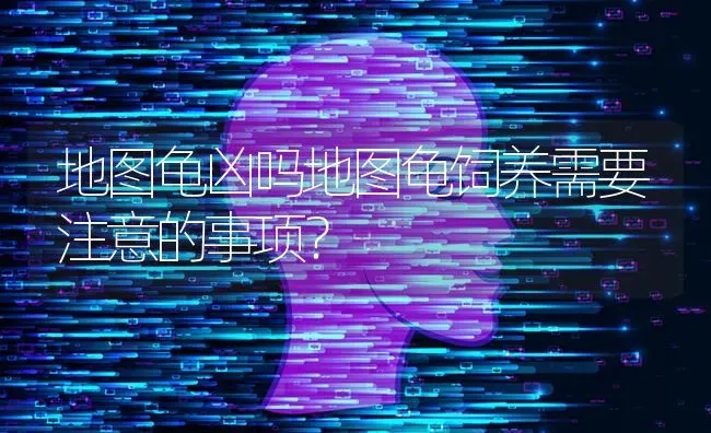 地图龟凶吗地图龟饲养需要注意的事项？ | 动物养殖问答