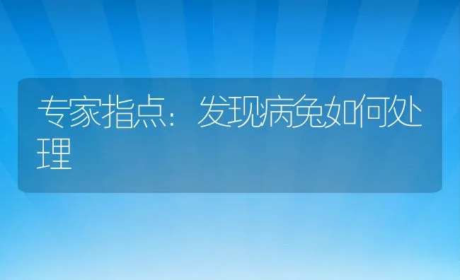 专家指点：发现病兔如何处理 | 水产养殖知识