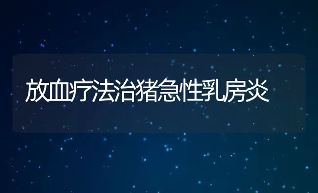 放血疗法治猪急性乳房炎 | 动物养殖学堂
