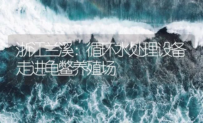 浙江兰溪：循环水处理设备走进龟鳖养殖场 | 海水养殖技术