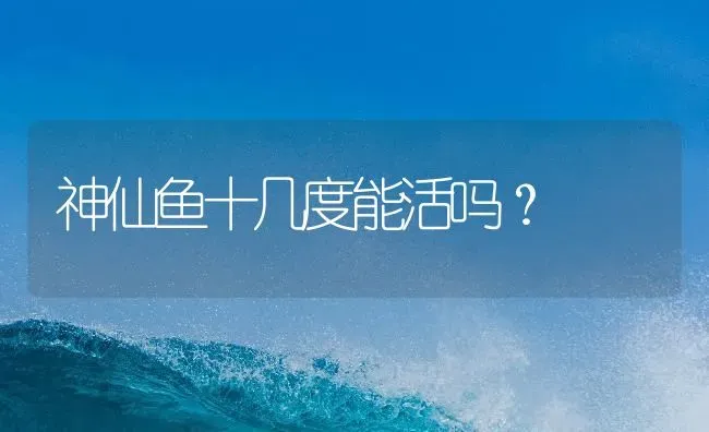 神仙鱼十几度能活吗？ | 鱼类宠物饲养