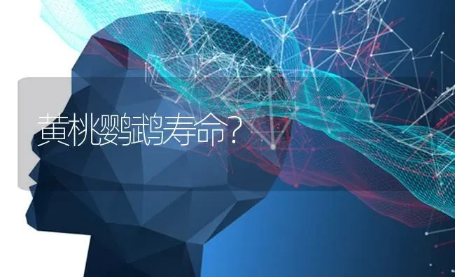 6周的拉布拉多一次吃多少？ | 动物养殖问答