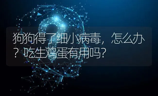 狗狗得了细小病毒，怎么办？吃生鸡蛋有用吗？ | 动物养殖问答