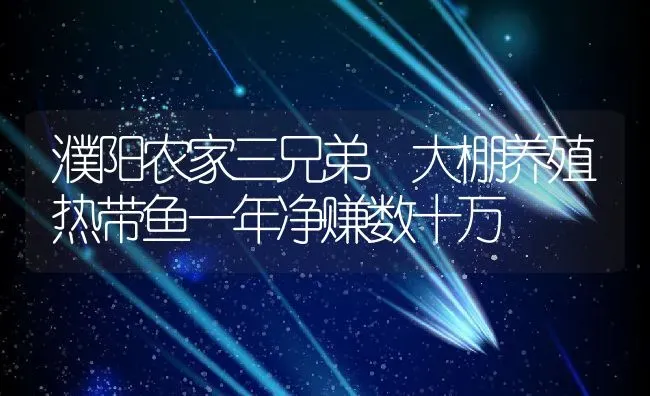 濮阳农家三兄弟 大棚养殖热带鱼一年净赚数十万 | 动物养殖教程