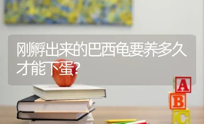 乌龟龟壳上面有白点是什么原因？ | 动物养殖问答