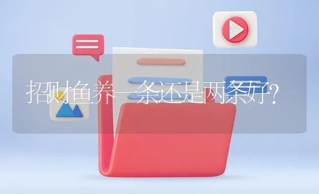 招财鱼养一条还是两条好？ | 鱼类宠物饲养