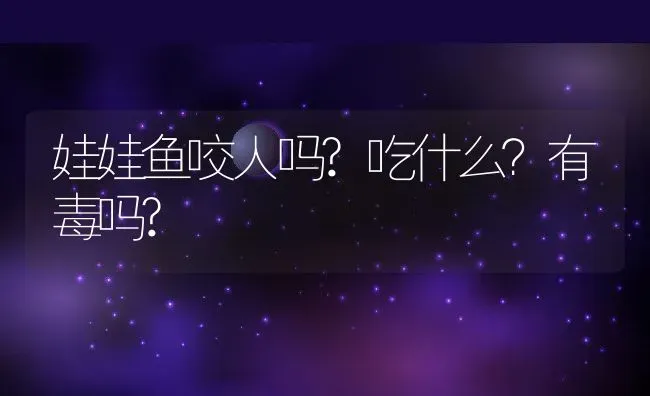 娃娃鱼咬人吗?吃什么？有毒吗? | 动物养殖百科