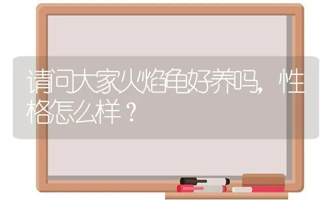 请问大家火焰龟好养吗，性格怎么样？ | 动物养殖问答