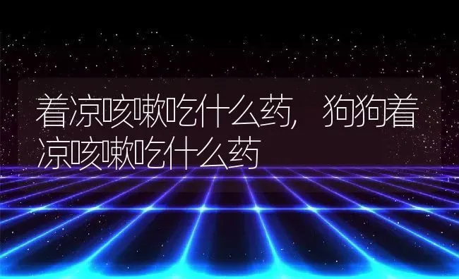 着凉咳嗽吃什么药,狗狗着凉咳嗽吃什么药 | 宠物百科知识