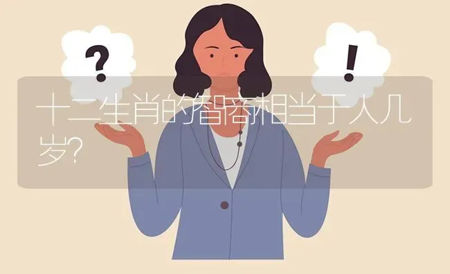 十二生肖的智商相当于人几岁？ | 动物养殖问答