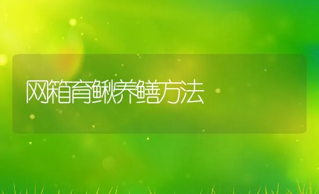 网箱育鳅养鳝方法 | 动物养殖饲料