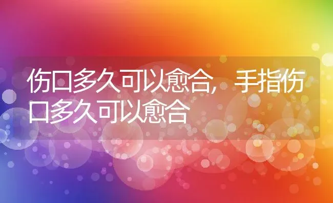 伤口多久可以愈合,手指伤口多久可以愈合 | 宠物百科知识