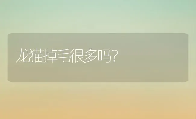 龙猫掉毛很多吗？ | 动物养殖问答