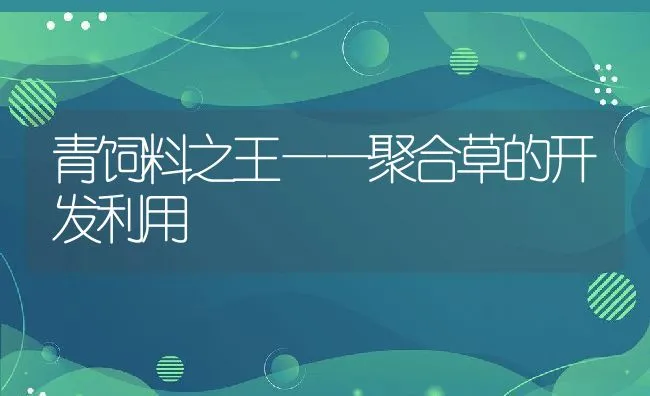 青饲料之王——聚合草的开发利用 | 动物养殖饲料