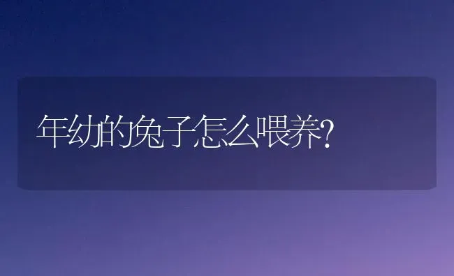 请问大家猫咪绝育后多久醒？ | 动物养殖问答