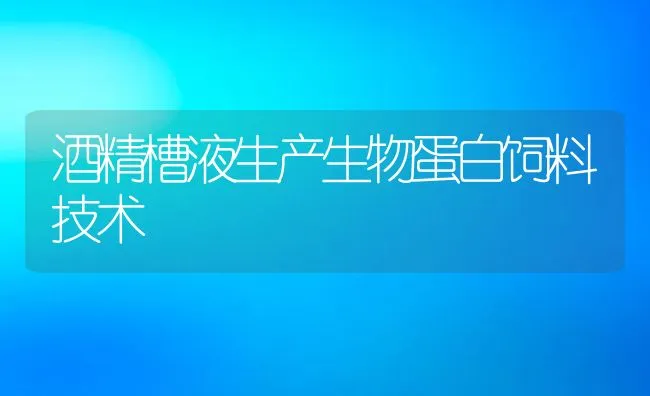 酒精槽液生产生物蛋白饲料技术 | 动物养殖学堂