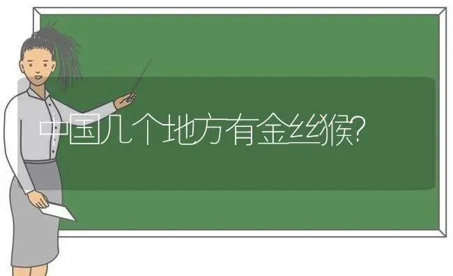 中国几个地方有金丝猴？ | 动物养殖问答