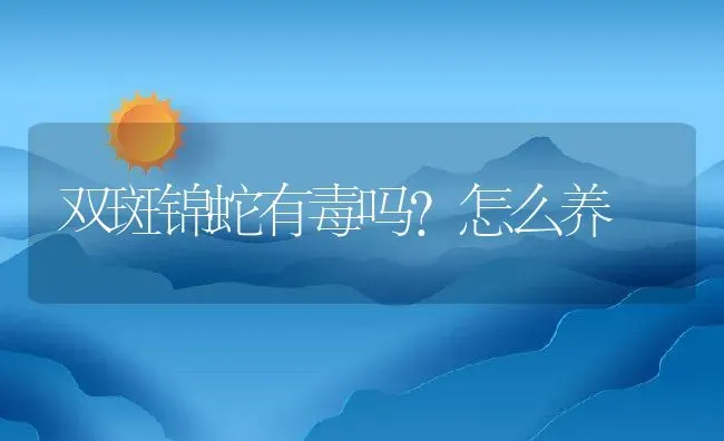 双斑锦蛇有毒吗？怎么养 | 动物养殖百科