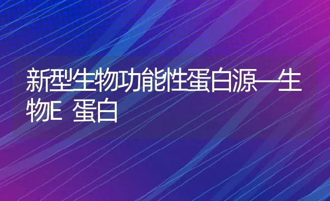 新型生物功能性蛋白源—生物E蛋白 | 动物养殖饲料