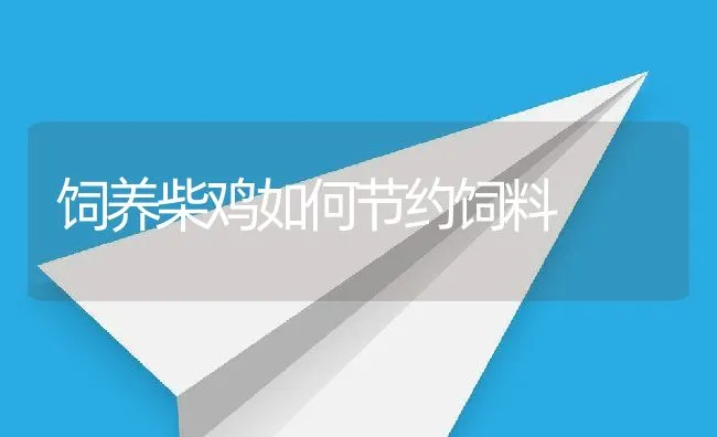 怎样提取蝎毒 | 动物养殖学堂