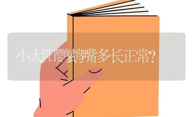 哈士奇好养吗？会不会经常会生病要么容易得细小？ | 动物养殖问答