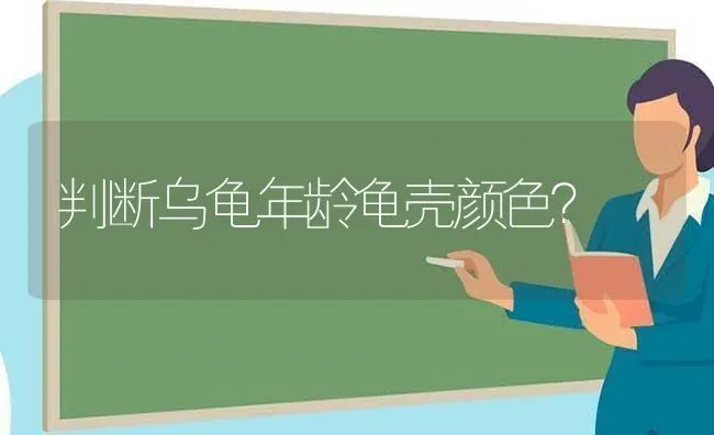 判断乌龟年龄龟壳颜色？ | 动物养殖问答