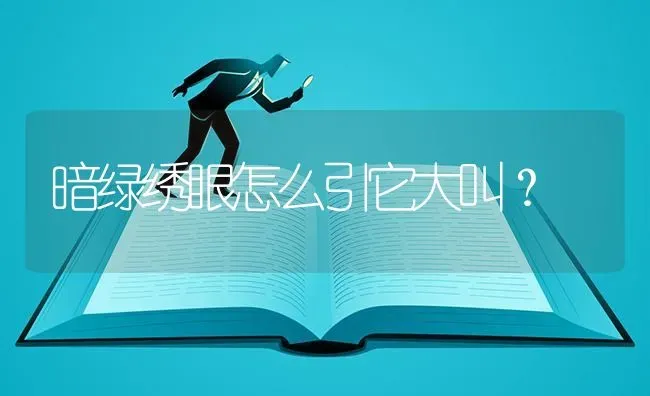 暗绿绣眼怎么引它大叫？ | 动物养殖问答