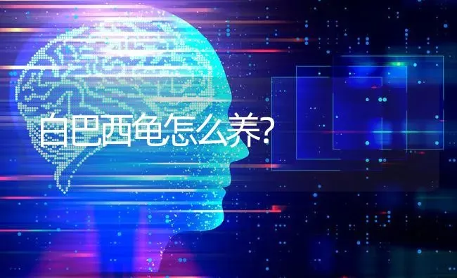 白巴西龟怎么养？ | 动物养殖问答