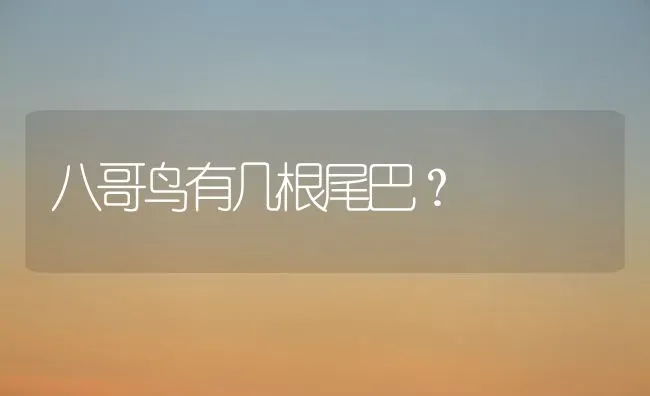 八哥鸟有几根尾巴？ | 动物养殖问答