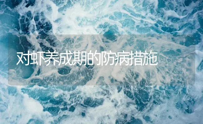 对虾养成期的防病措施 | 海水养殖技术