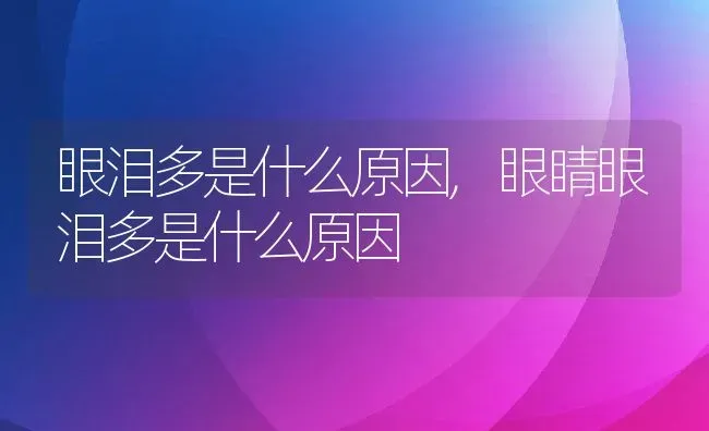 眼泪多是什么原因,眼睛眼泪多是什么原因 | 宠物百科知识