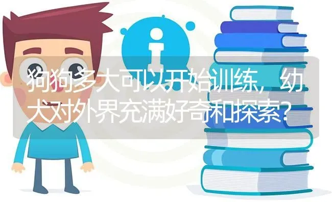 狗狗多大可以开始训练，幼犬对外界充满好奇和探索？ | 动物养殖问答