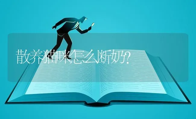 散养猫咪怎么断奶？ | 动物养殖问答