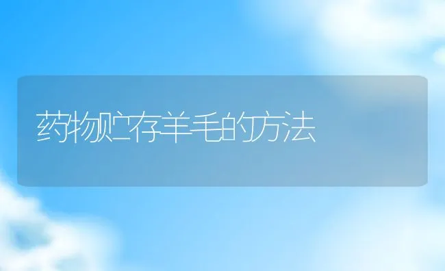 福建南美白对虾白体病分析及防治 | 海水养殖技术