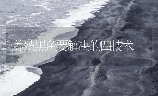 养殖黑鱼要解决的四技术 | 海水养殖技术