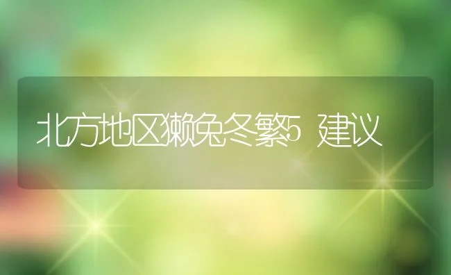 北方地区獭兔冬繁5建议 | 水产养殖知识