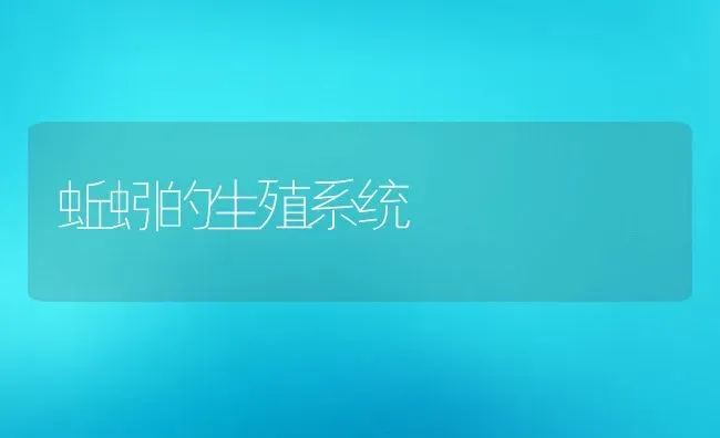 蚯蚓的生殖系统 | 动物养殖教程