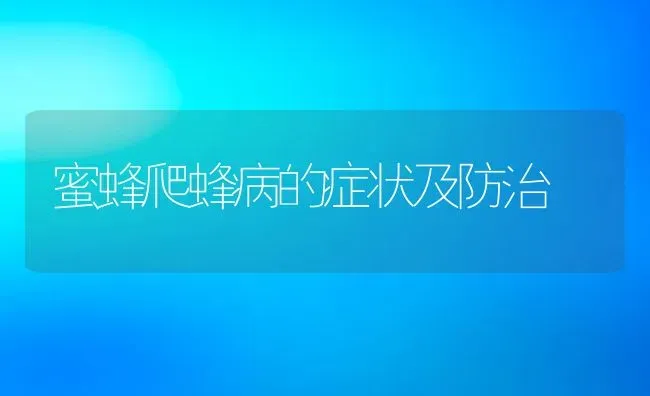 蜜蜂爬蜂病的症状及防治 | 动物养殖百科