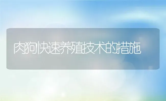 肉狗快速养殖技术的措施 | 动物养殖教程