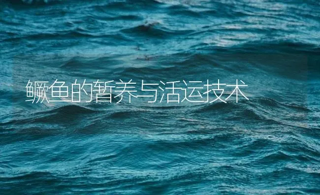 鳜鱼的暂养与活运技术 | 海水养殖技术