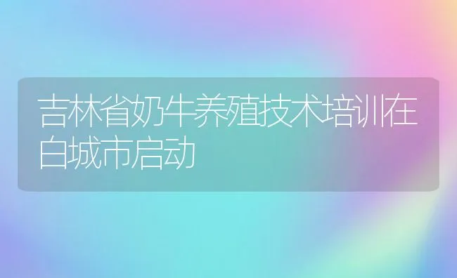 吉林省奶牛养殖技术培训在白城市启动 | 动物养殖饲料